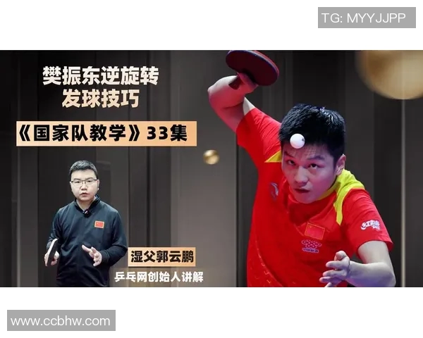 实时新闻乒乓球新手必看轻松掌握配合技巧的入门指南与训练建议